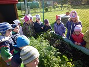 Sklízíme úrodu na školní zahrádce